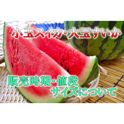 夏季限定商品 大人気の小玉スイカ 大玉スイカの販売時期 値段 サイズについて 19年版 令和 千葉県の落花生専門店 石井進商店 のブログ