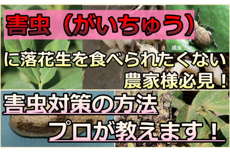 害虫