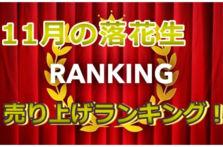 11月売上ランキング