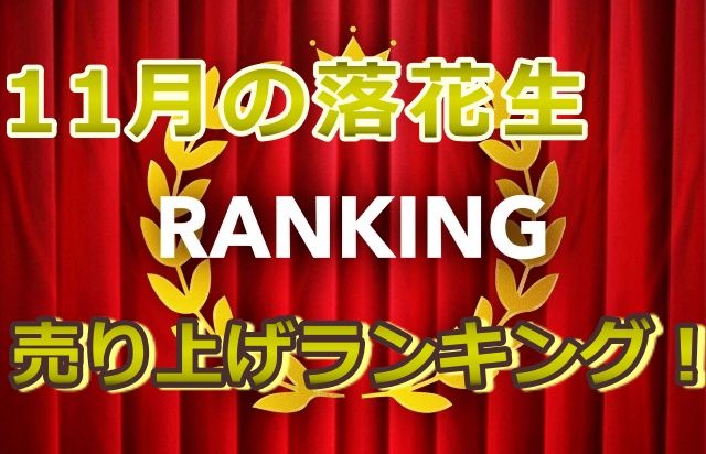 11月売上ランキング