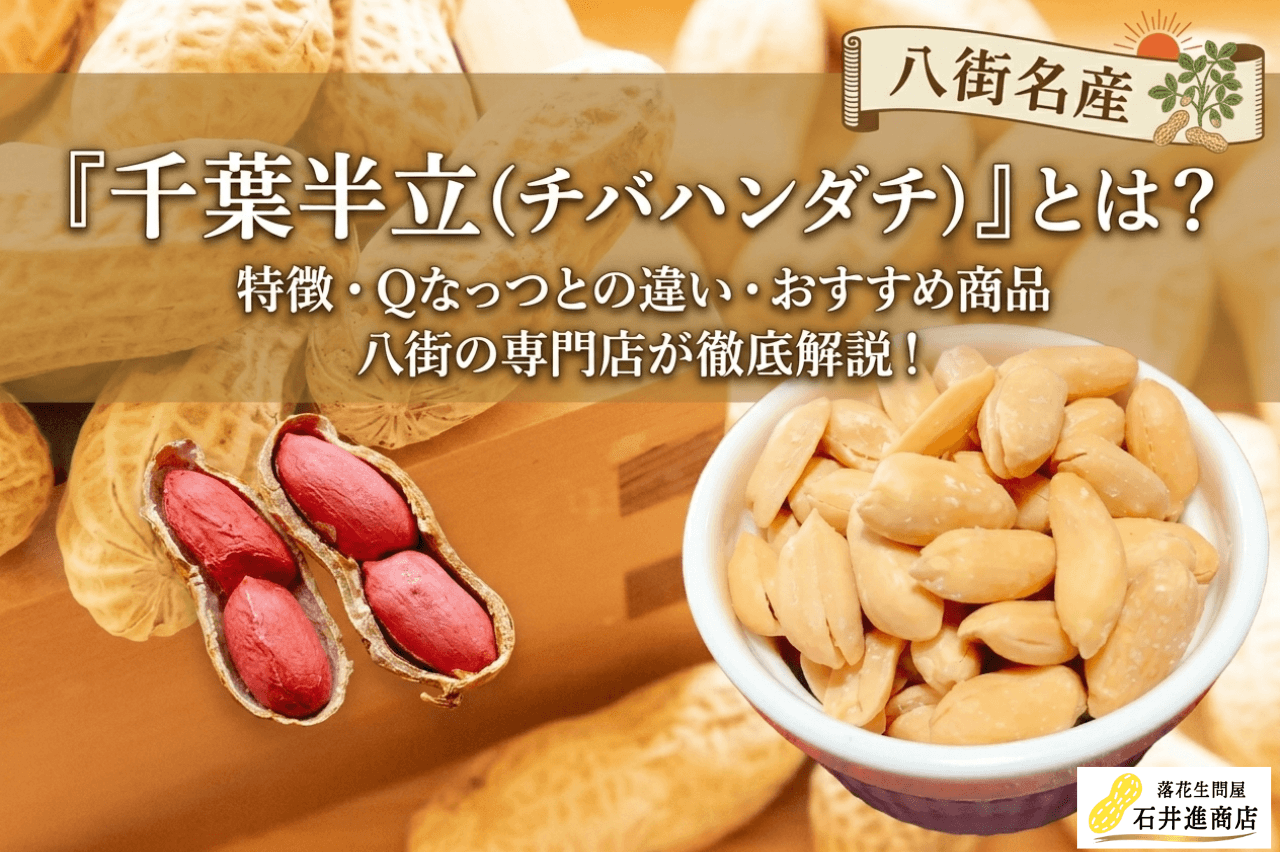 千葉半立（チバハンダチ）とは？特徴・Qなっつとの違い・おすすめ商品を八街の専門店が解説