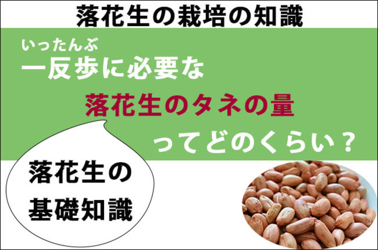 一反歩に必要な落花生の種の量ってどのくらい？【ピーナッツ栽培】