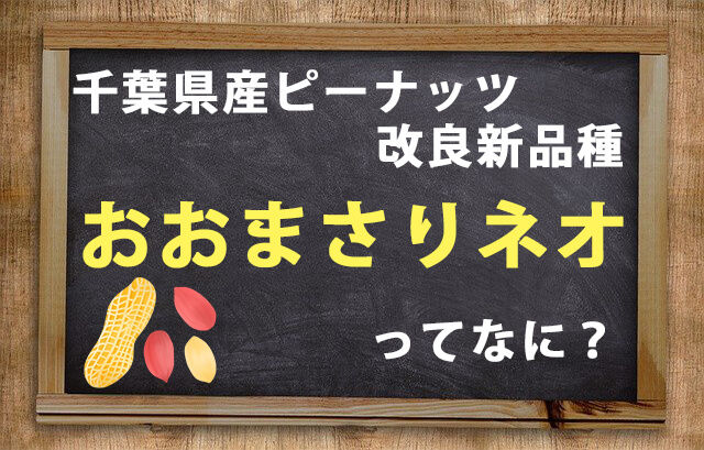 おおまさりネオとは？おいしいのか？千葉県産落花生についてプロが解説！