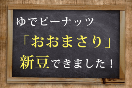 【新豆】千葉県産ゆで落花生「おおまさり」の新豆できました！【２０２１年度】