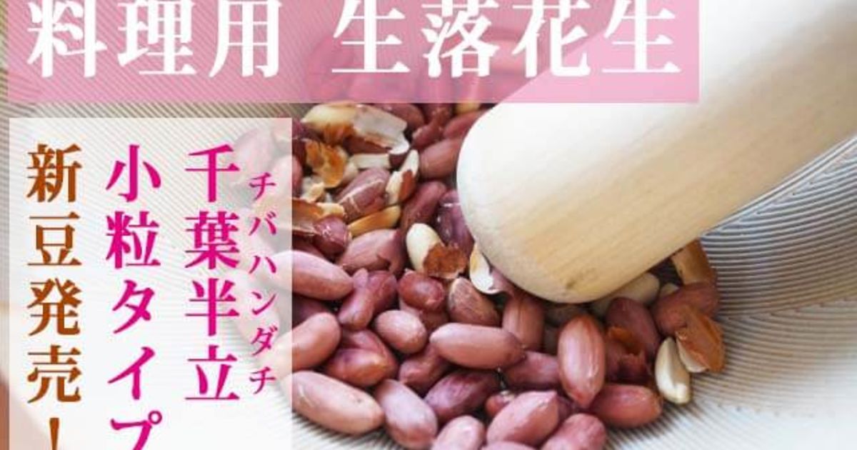 新豆】生落花生千葉半立の小粒タイプ販売開始しました！【千葉県産