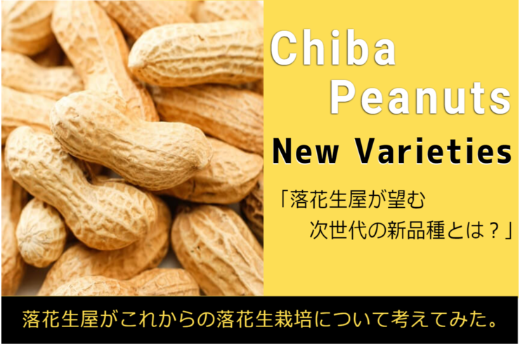 千葉県産落花生の新品種について落花生屋が考えてみた【次世代のピーナッツ】