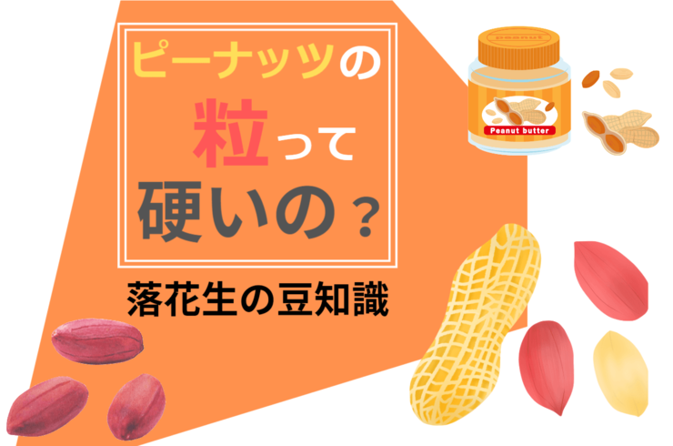 国産ピーナッツの粒は硬いのか？落花生のプロが教えます。