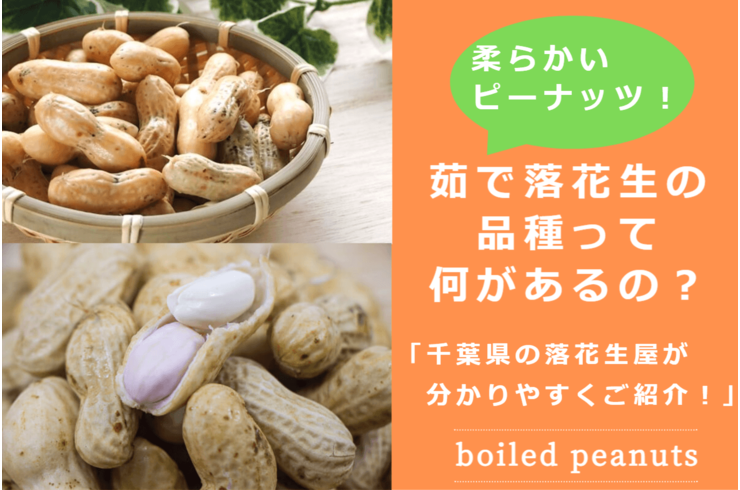 茹で落花生の品種って何があるの？千葉の落花生屋がご紹介！