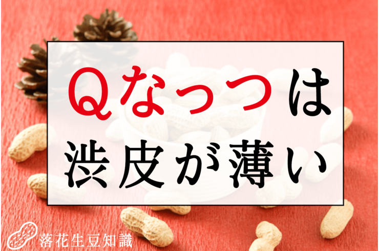 Ｑなっつの渋皮は薄いって知っていましたか？【千葉県産落花生豆知識】