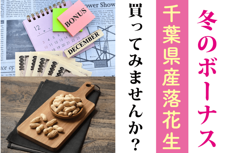 冬のボーナス・賞与で千葉県産落花生買ってみませんか？