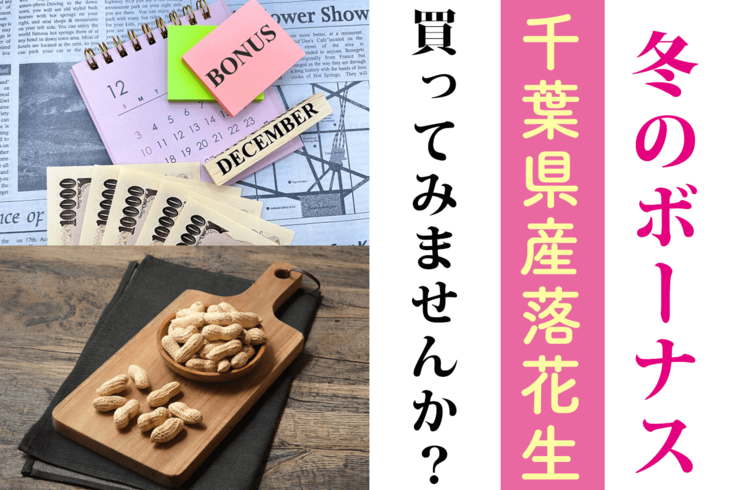 【冬のボーナスの使い道】千葉県八街産落花生でちょっと贅沢しませんか？