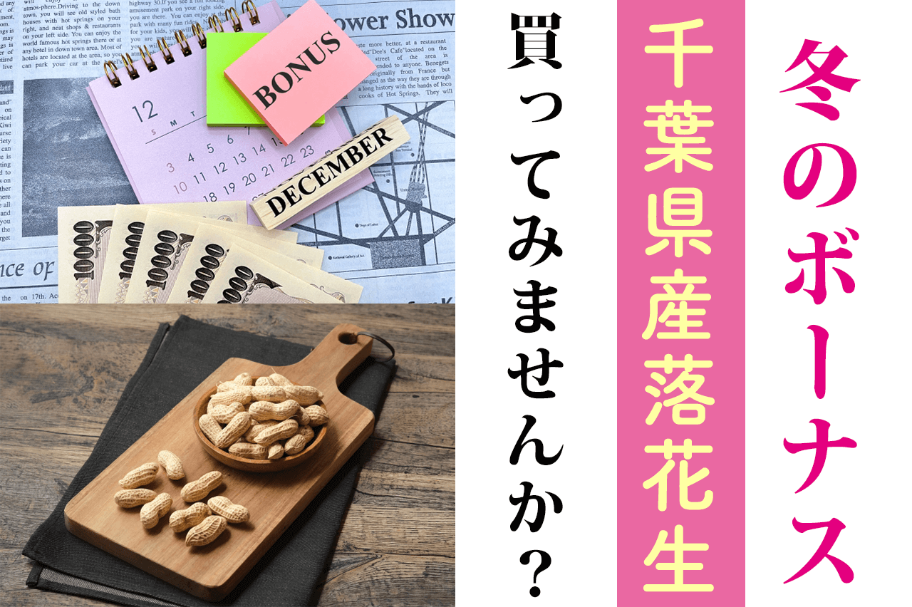 冬のボーナス・賞与で千葉県産落花生買ってみませんか？