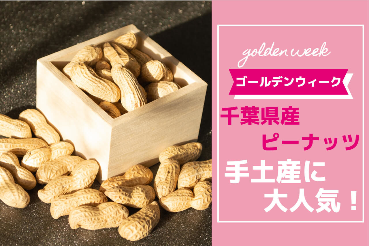 千葉県産落花生が大人気！ゴールデンウィークの手土産に最適な理由とは？