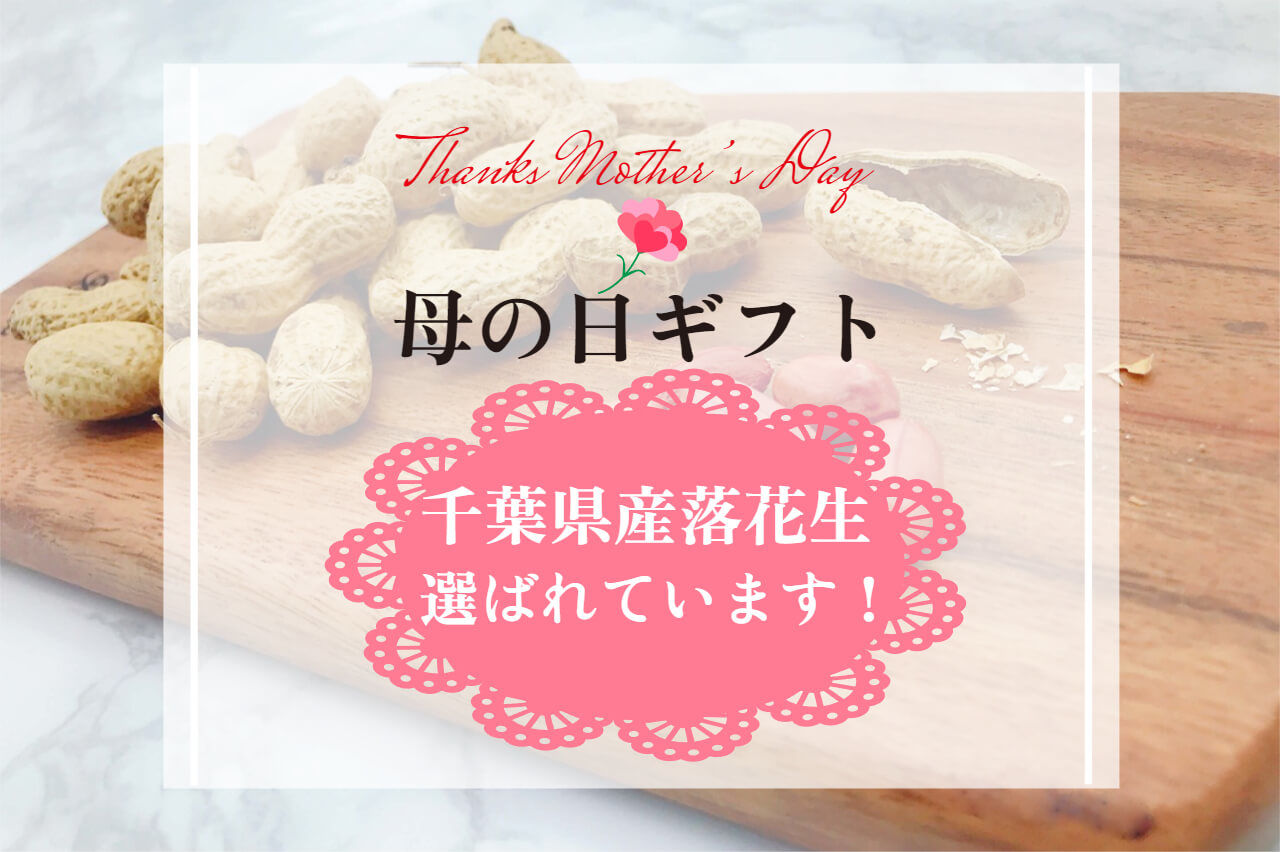 まだ間に合う！母の日ギフト！千葉県産落花生が選ばれています！