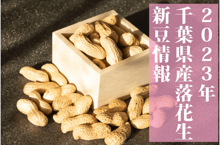 千葉県産落花生の２０２３年新豆速報【千葉県ピーナッツ】