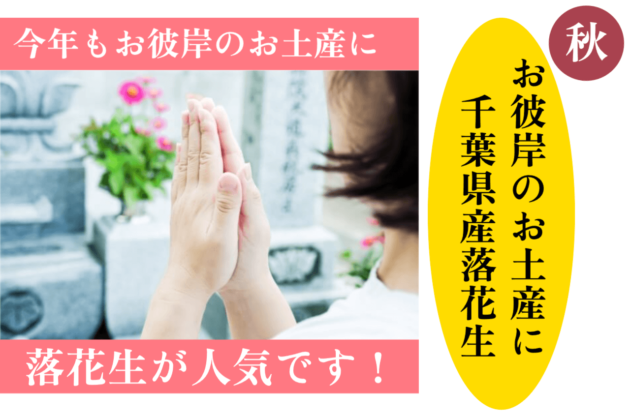 今年のお彼岸も千葉県産落花生買う方増えています！