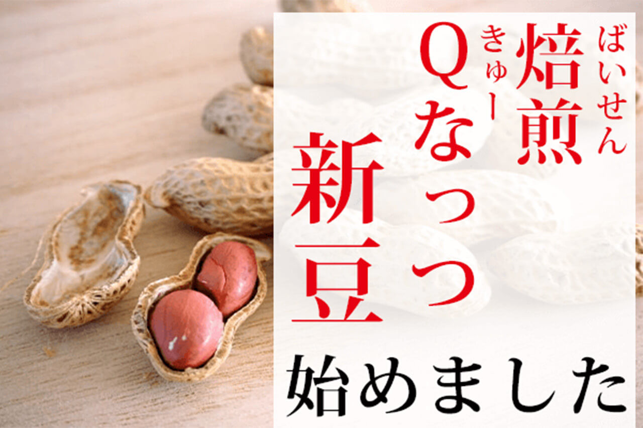 八街産 炒り落花生 Qナッツ 新豆 千葉県八街産落花生Qなっつの新豆販売開始しました【2023年度新豆】