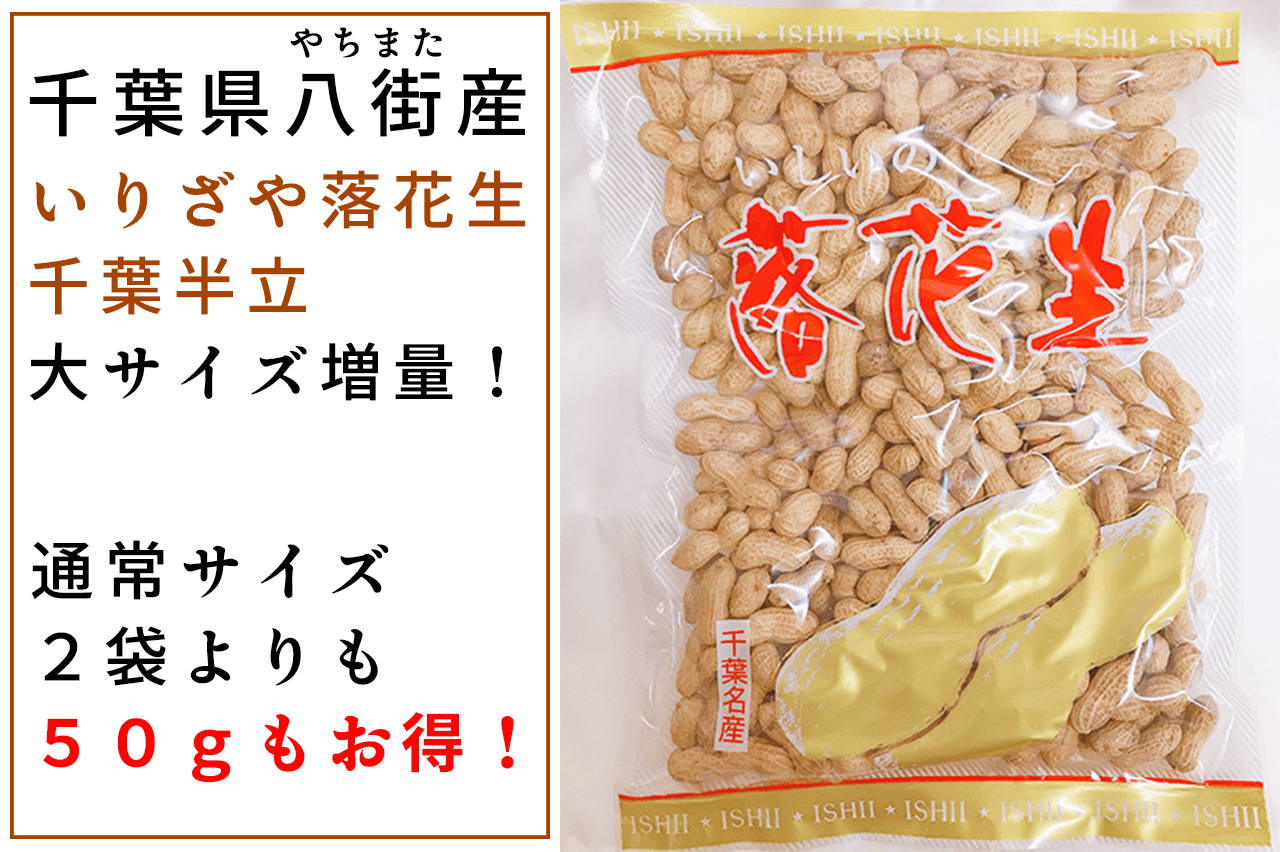【５０袋限定】夏セール！千葉県産いりざや落花生千葉半立大サイズ増量590ｇ販売！