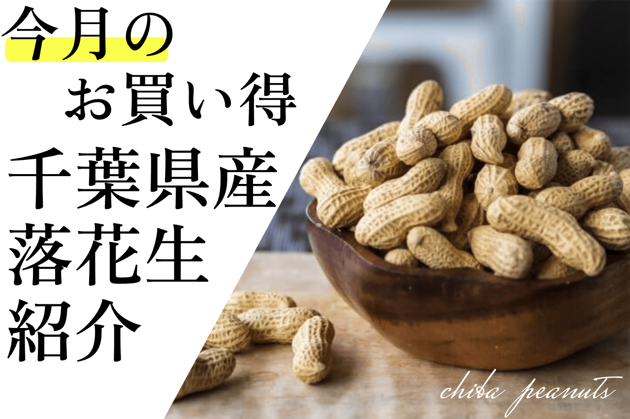 8月の千葉県産落花生お買い得商品のお知らせ【2024年8月】