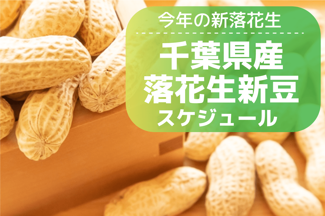 2024年新豆】千葉県八街産落花生の新豆＆商品発売スケジュールについて