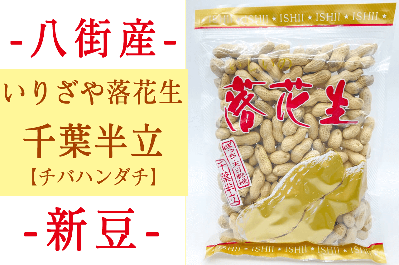 2024年度新豆】いりざや落花生千葉半立の新豆販売開始！【千葉県八街産落花生】