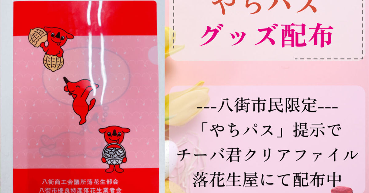 石井進商店で「やちパス」特典でチーバ君クリアファイルプレゼント中