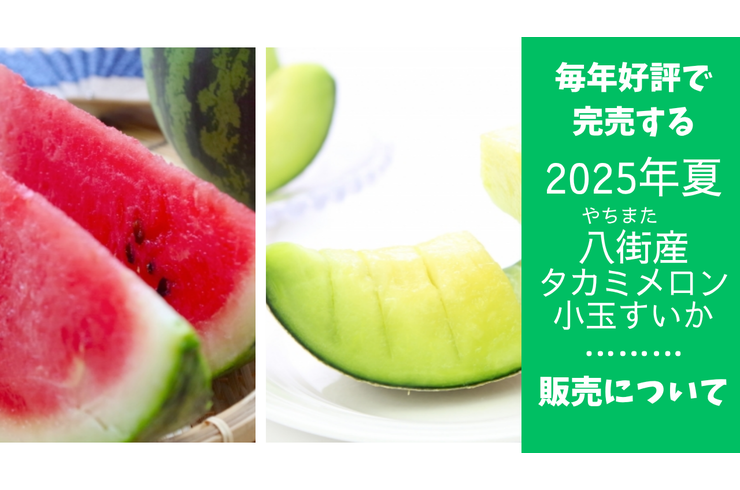 八街産タカミメロン・小玉すいかの販売について【2025年夏】