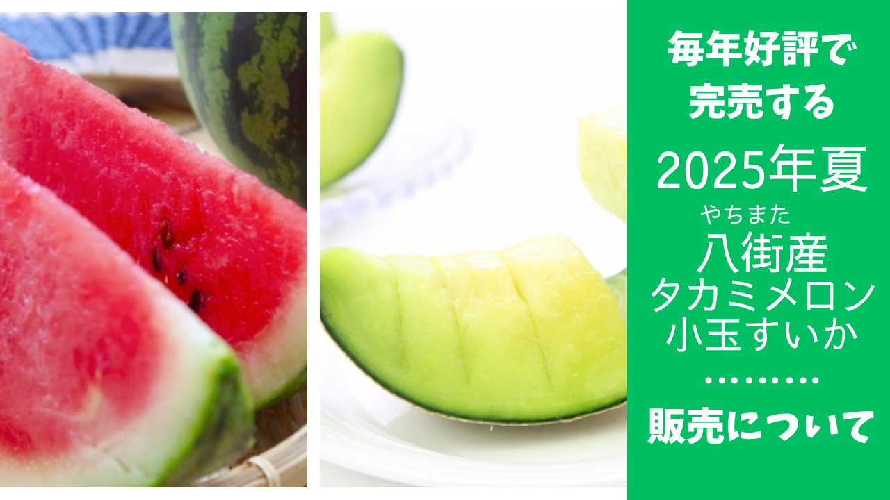 八街産タカミメロン・小玉すいかの販売について【2025年夏】