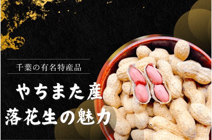 【千葉グルメ】八街産落花生が人気な理由｜甘み・香ばしさ・地域ブランドの秘密
