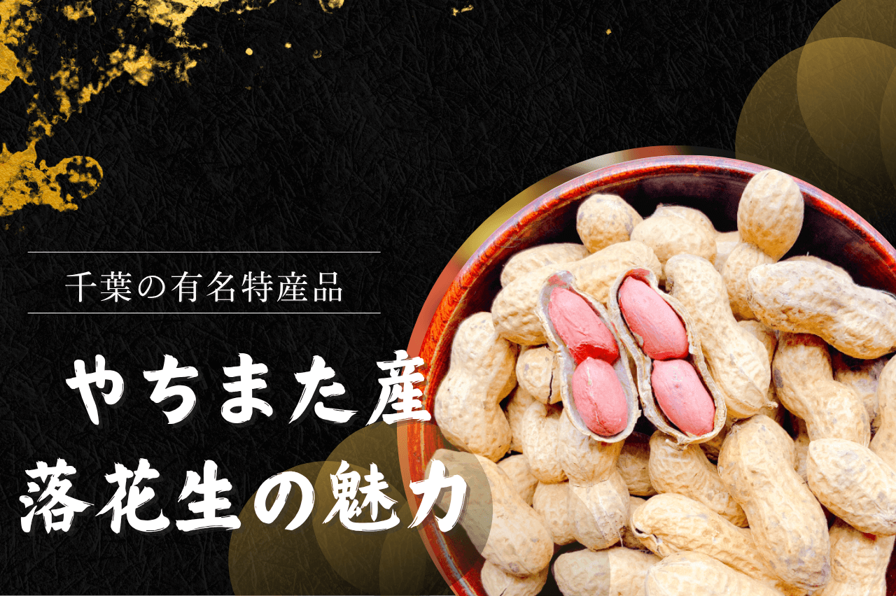 【千葉グルメ】八街産落花生が人気な理由｜甘み・香ばしさ・地域ブランドの秘密