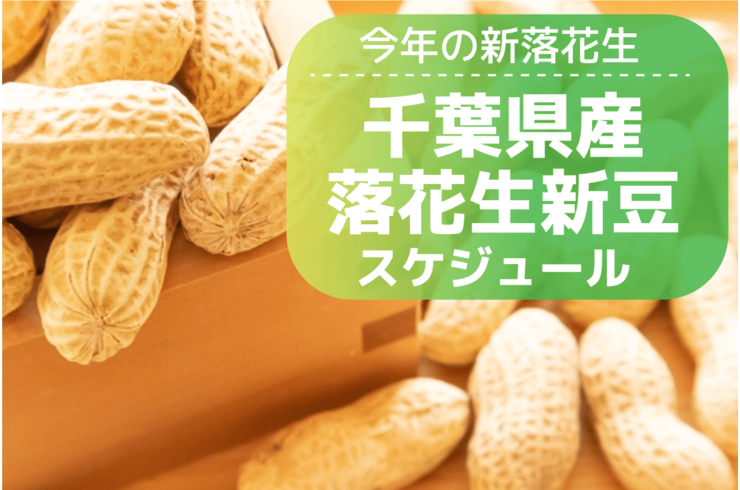【2025年版】千葉県産落花生の新豆予定＆秋冬限定商品まとめ
