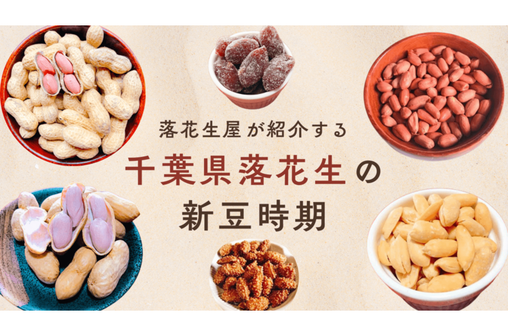 【動画公開】千葉県落花生 新豆スケジュール完全版｜人気4品種の特徴・保存方法・購入ガイド
