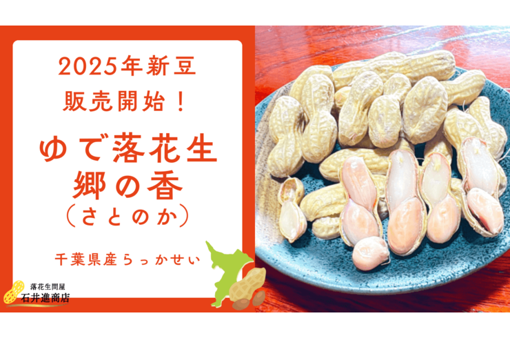 【新豆】千葉県産レトルトゆで落花生郷の香新豆販売開始しました！【2025年】