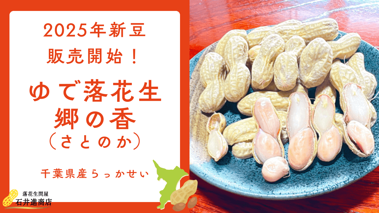 【新豆】千葉県産レトルトゆで落花生郷の香新豆販売開始しました！【2025年】