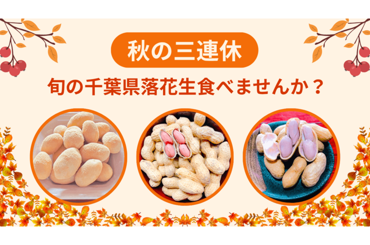🍁【三連休におすすめ】千葉県産落花生で秋を満喫！