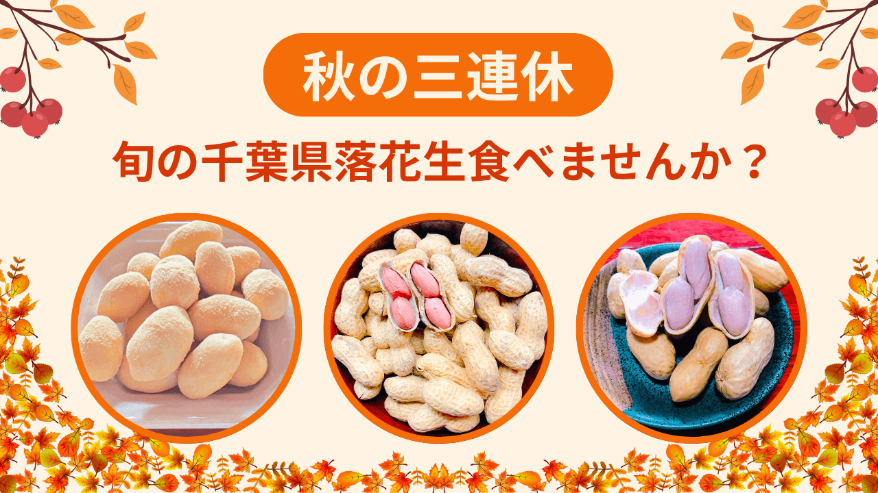 🍁【三連休におすすめ】千葉県産落花生で秋を満喫！