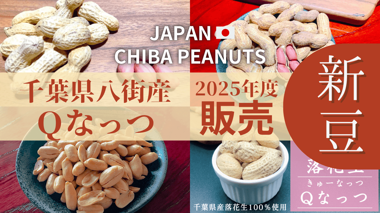 2025年度新豆！千葉県八街産いりざや落花生Qなっつ販売開始【石井進商店】