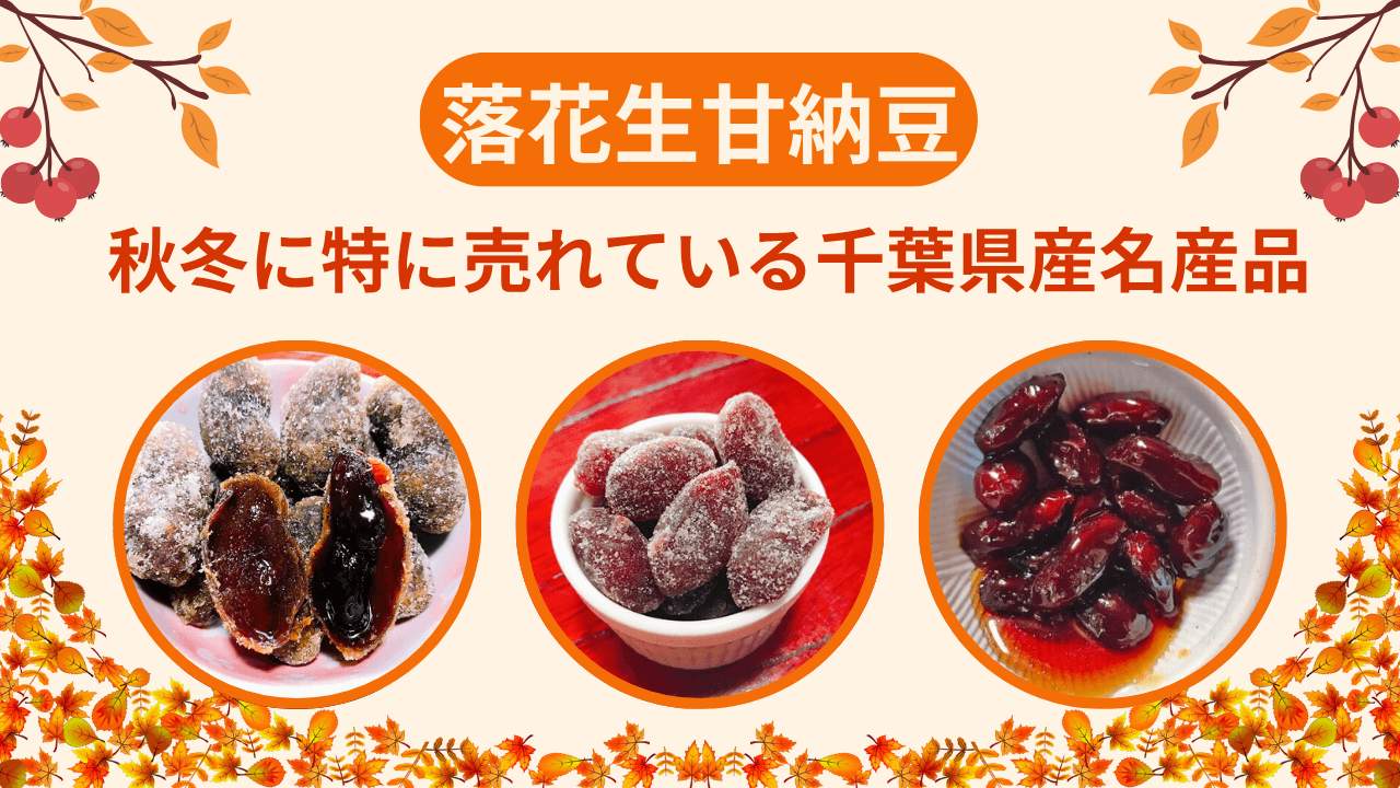 秋冬に売れている粒の大きい千葉県産の落花生甘納豆をご紹介！｜石井進商店