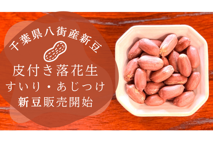 千葉県落花生の新豆登場｜八街産皮付き落花生（素煎り・味付）販売開始【石井進商店】