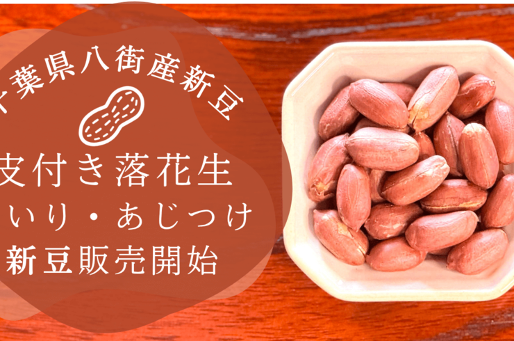千葉県落花生の新豆登場｜八街産皮付き落花生（素煎り・味付）販売開始【石井進商店】