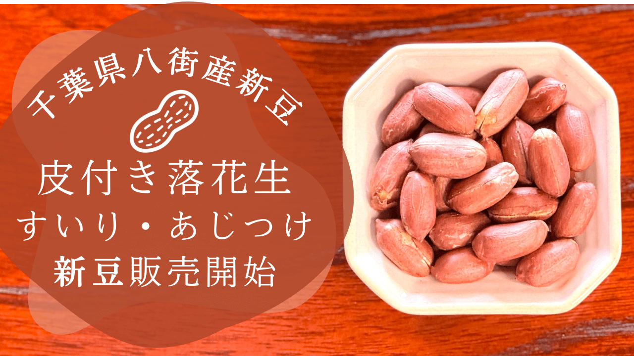 千葉県落花生の新豆登場｜八街産皮付き落花生（素煎り・味付）販売開始【石井進商店】