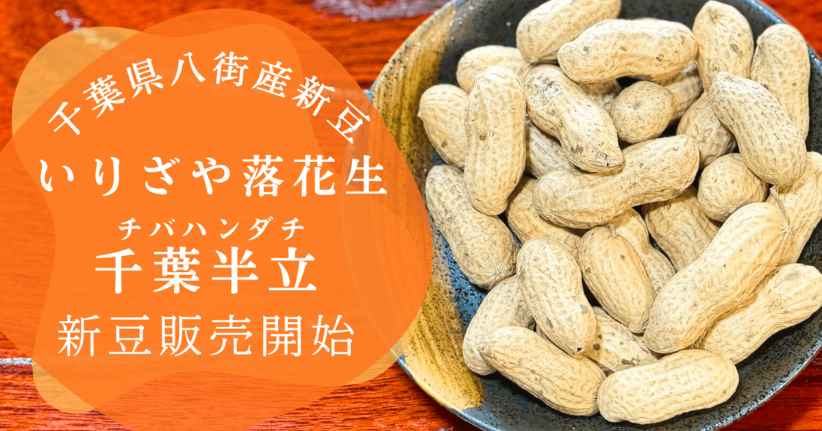 2025新豆】千葉県八街産いりざや落花生千葉半立（チバハンダチ）販売開始！