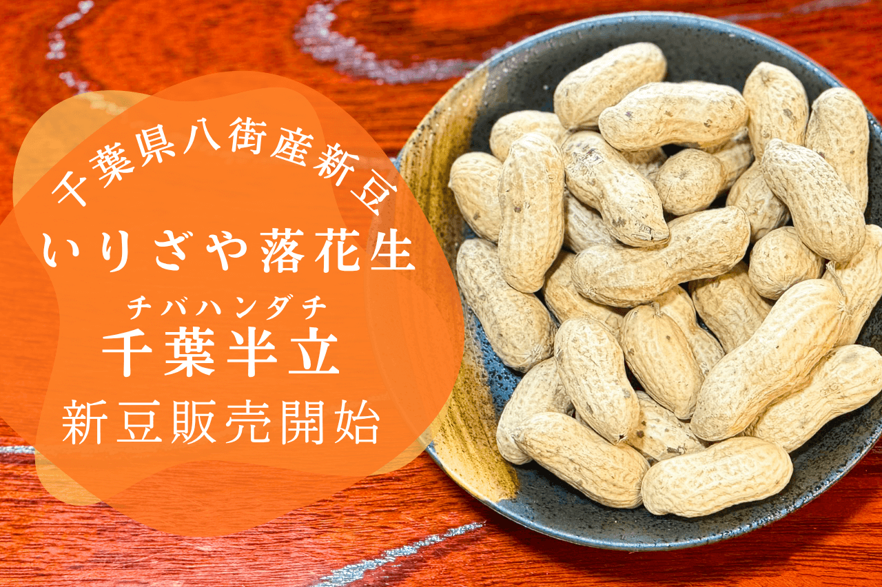 【2025新豆】千葉県八街産いりざや落花生千葉半立（チバハンダチ）販売開始！