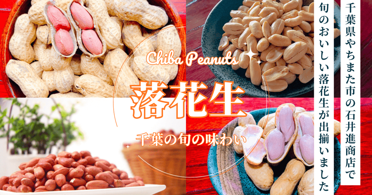 2025年版】千葉県八街産の新豆落花生が出揃いました｜今年の出来