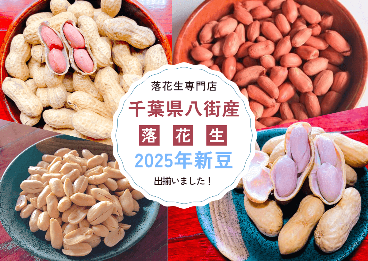 2025年新豆】千葉県八街産落花生が出揃い！千葉半立・Qなっつ・ゆで