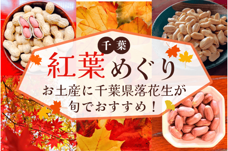 千葉の紅葉狩り帰りにぴったり！秋限定の千葉土産は八街産落花生で決まり