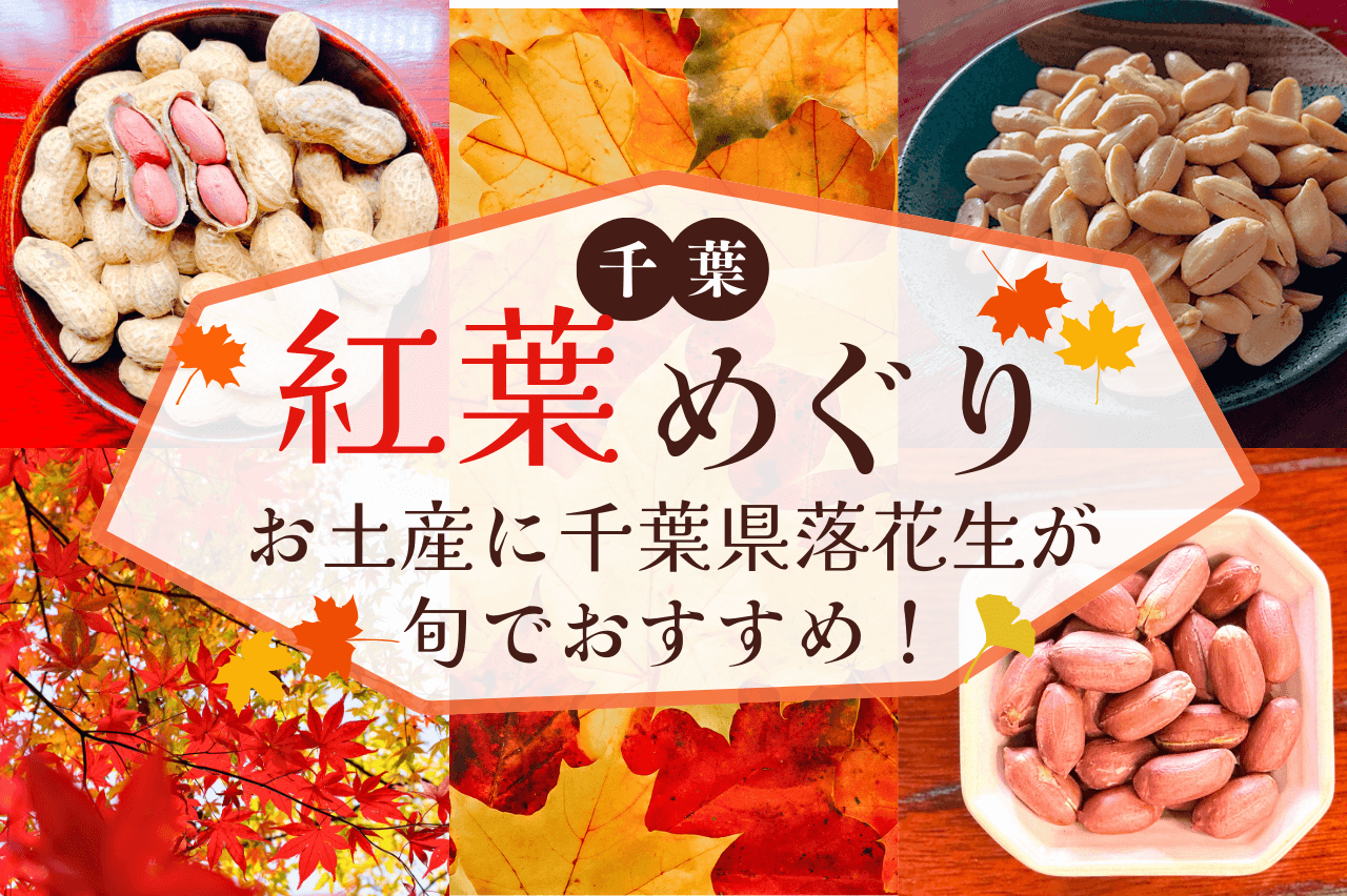 千葉の紅葉狩り帰りにぴったり！秋限定の千葉土産は八街産落花生で決まり