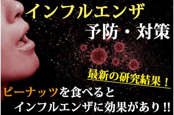 ピーナッツでインフルエンザ予防対策はできる？注目される理由と現実的な食べ方【専門店が解説】