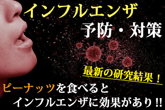 ピーナッツでインフルエンザ予防対策はできる？注目される理由と現実的な食べ方【専門店が解説】