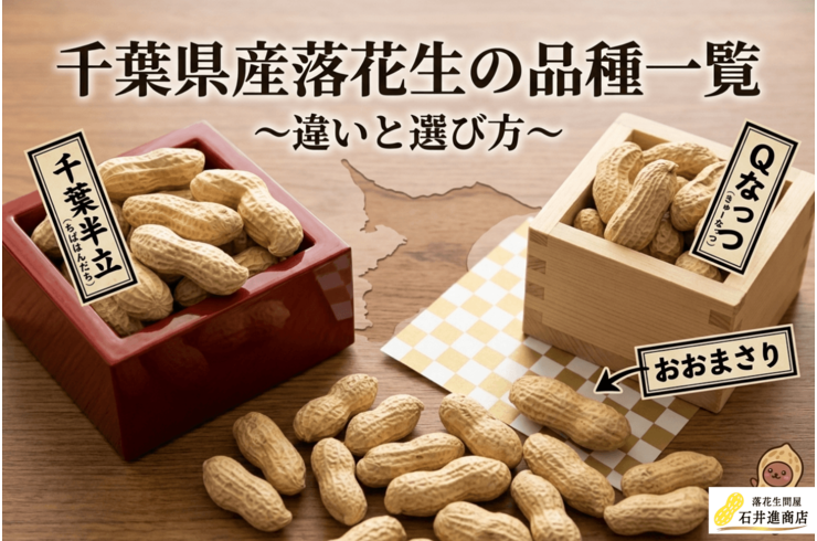 千葉県産落花生の品種一覧｜千葉半立・Qなっつ・おおまさりの違いと選び方